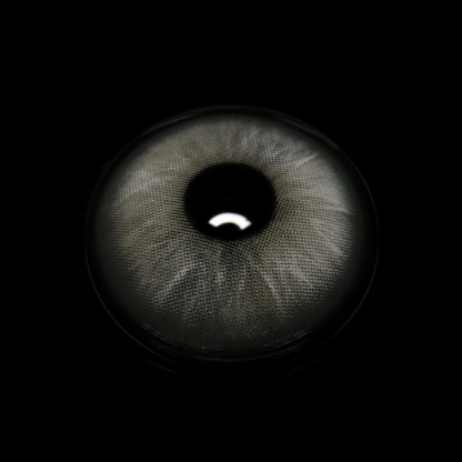 Efigenia Gray Coloured Contact Lenses